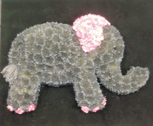 2D Elephant