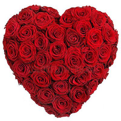 Download Compact all Rose Heart - Nuxley Road Florist