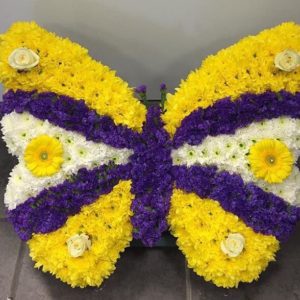 Butterfly- medium