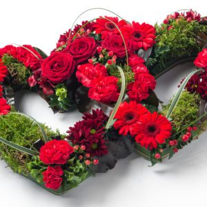 Double Open Heart