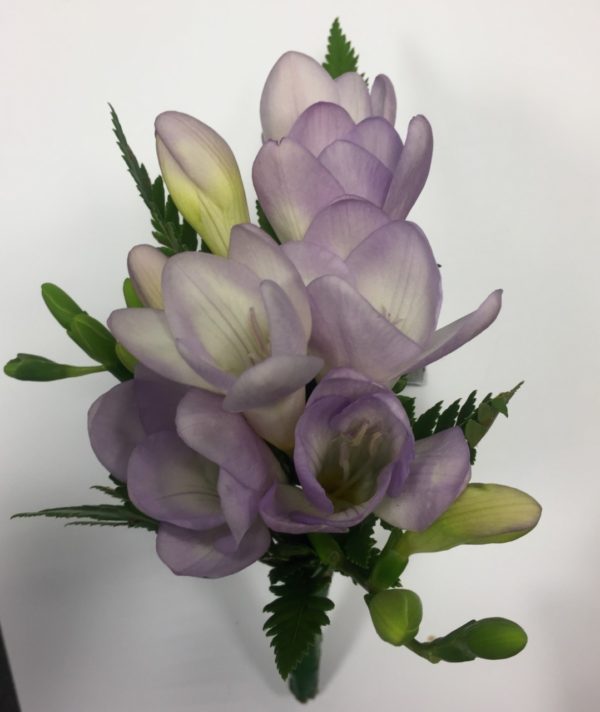 Freesia Corsage