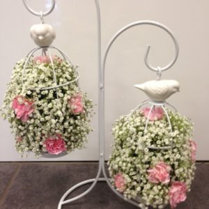 Gyp and Spray Car Bird Cages