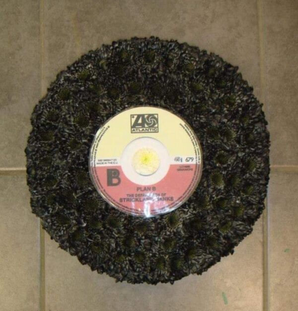 12" Record