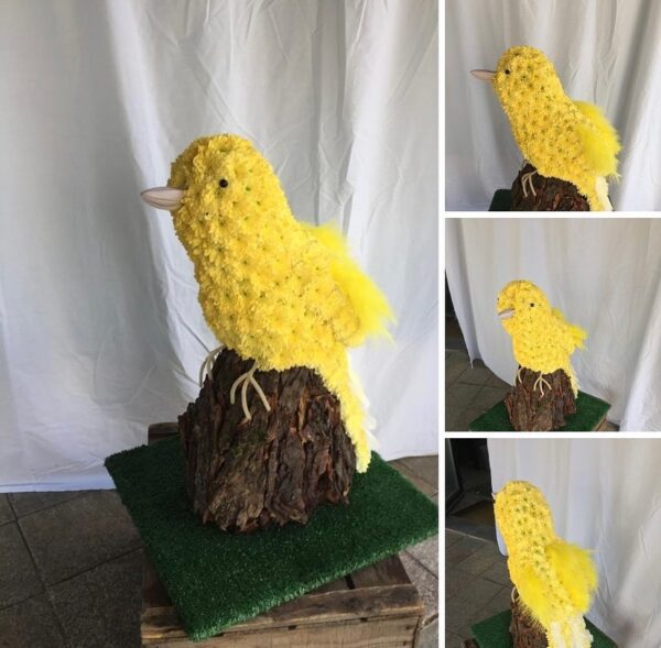 3D Canary